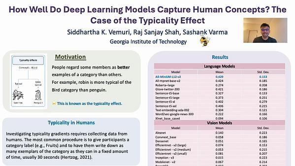 How Well Do Deep Learning Models Capture Human Concepts? The Case of the Typicality Effect