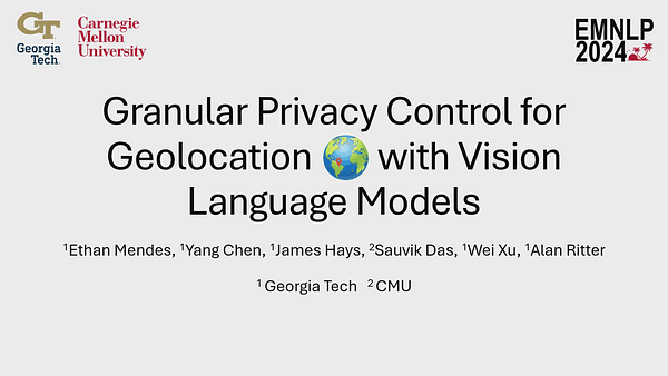 Granular Privacy Control for Geolocation with Vision Language Models