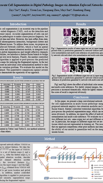 Accurate Cell Segmentation in Digital Pathology Images via Attention Enforced Networks