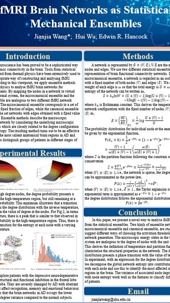 fMRI Brain Networks as Statistical Mechanical Ensembles