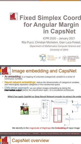 Fixed Simplex Coordinates for Angular Margin Loss in CapsNet