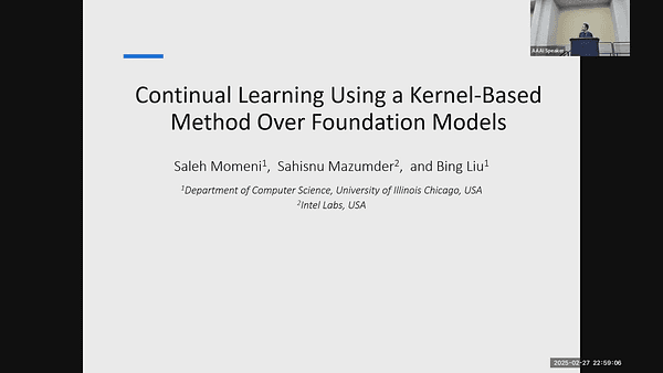 Continual Learning Using a Kernel-Based Method Over Foundation Models