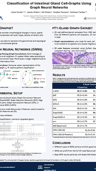 Classification of Intestinal Gland Cell-Graphs Using Graph Neural Networks