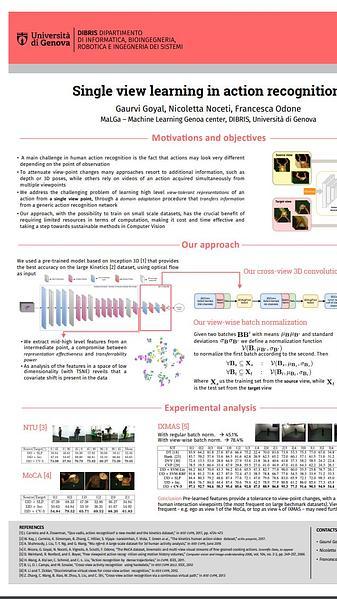 Single view learning in action recognition