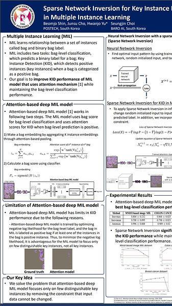 Sparse Network Inversion for Key Instance Detection in Multiple Instance Learning