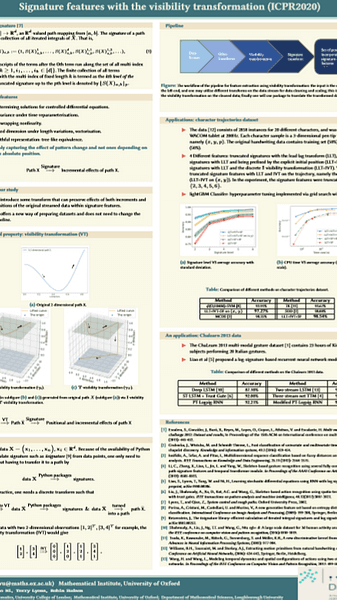 Signature features with the visibility transformation