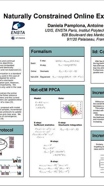 Naturally Constrained Online Expectation Maximization
