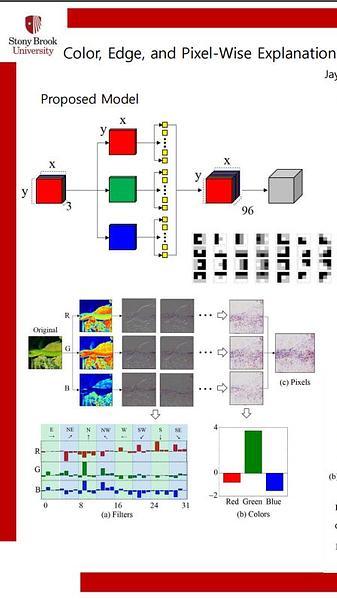 Color, Edge, and Pixel-wise Explanation of Predictions Based on Interpretable Neural Network Model