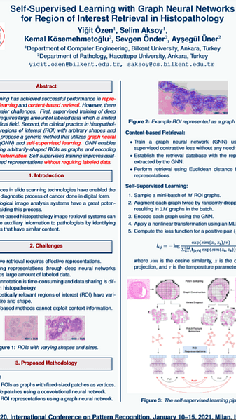 Self-Supervised Learning with Graph Neural Networks for Region of Interest Retrieval in Histopathology