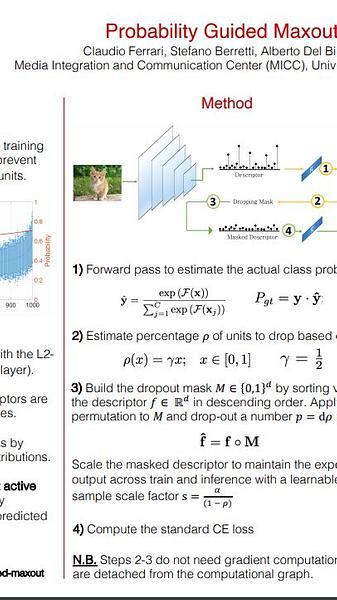 Probability Guided Maxout