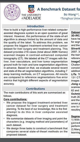 A Benchmark Dataset for Segmenting Liver, Vasculature and Lesions from Large-scale Computed Tomography Data