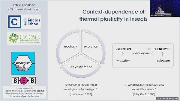 Context-dependence of thermal plasticity in insects