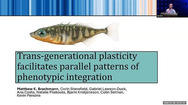 Metabolic adaptation in Icelandic threespine stickleback