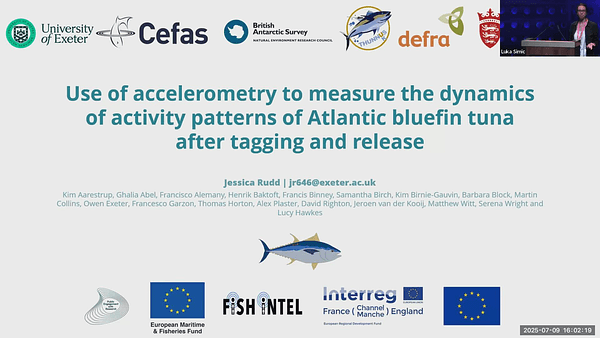 Use of accelerometry to measure the dynamics of activity patterns of Atlantic bluefin tuna after tagging and release
