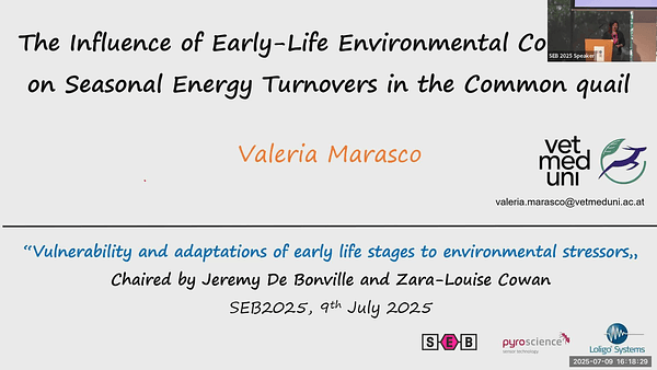 The influence of early life environmental conditions on seasonal energy turnovers in the Common quail