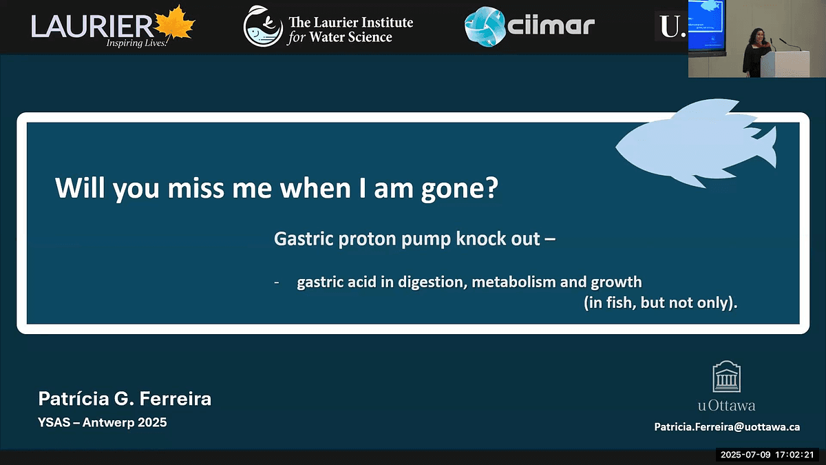 Lecture image placeholder