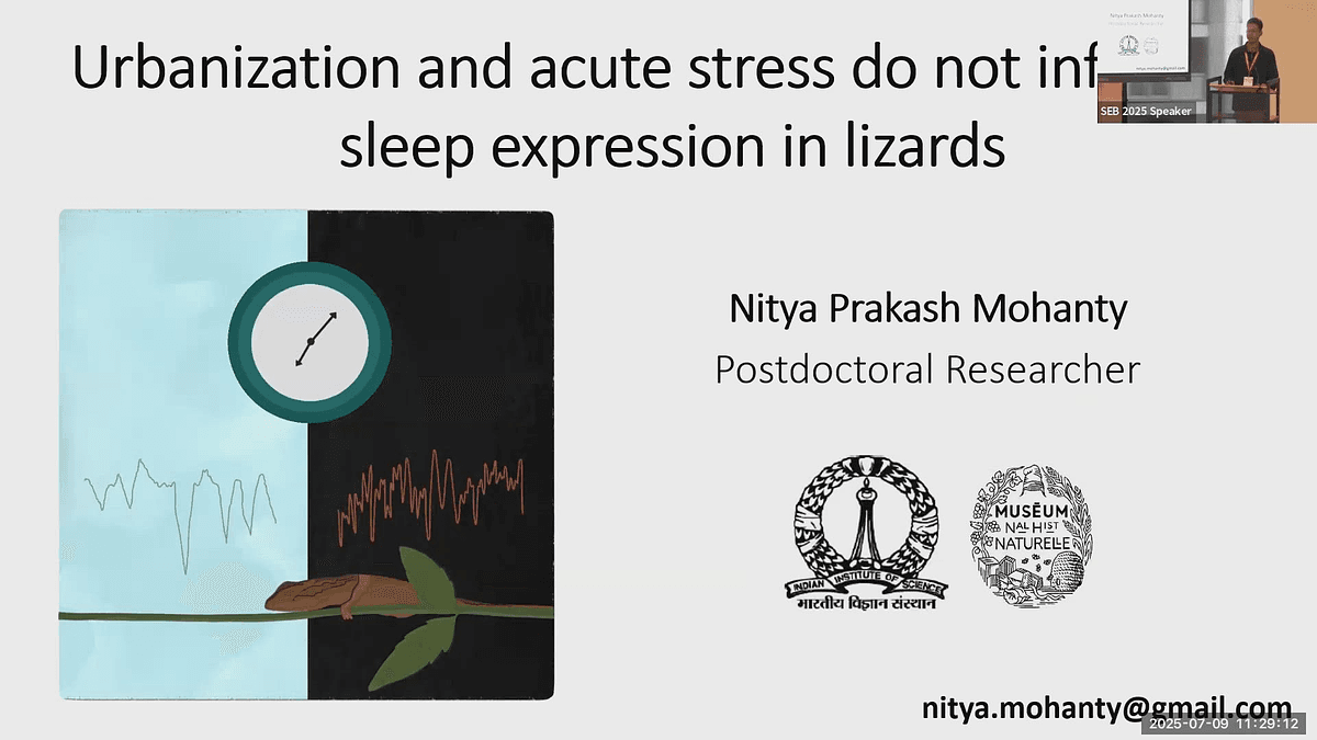 Lecture image placeholder