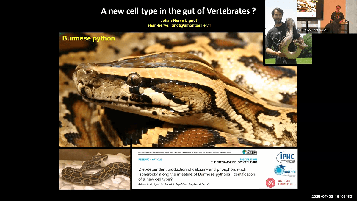 Lecture image placeholder