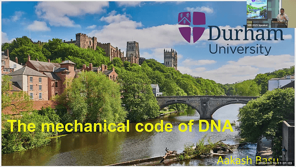 Deciphering the mechanical code of DNA and its impact on cellular processes