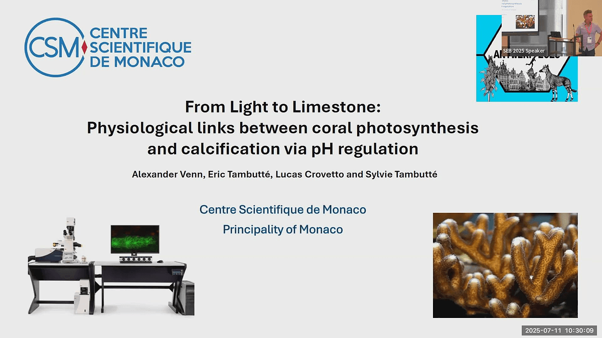 Lecture image placeholder