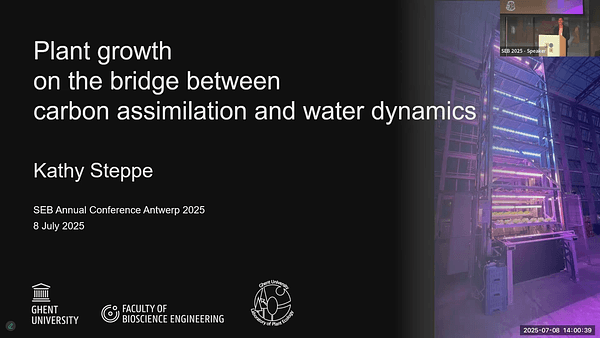 Plant growth on the bridge between carbon assimilation and water dynamics