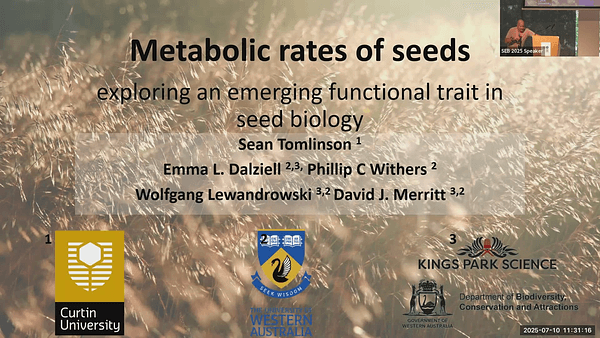Metabolic rates of seeds: exploring an emerging functional trait in seed biology
