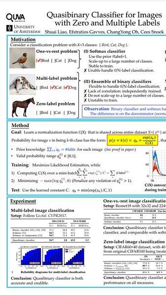 Quasibinary Classifier for Images with Zero and Multiple Labels