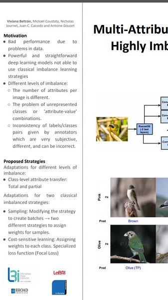 Multi-Attribute Learning With Highly Imbalanced Data