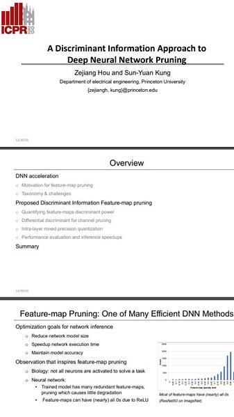 A Discriminant Information Approach to Deep Neural Network Pruning