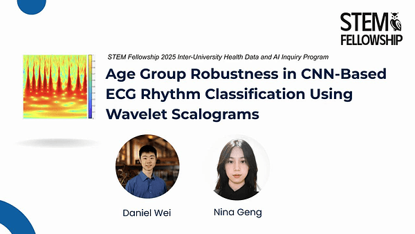 Age Group Robustness in CNN-Based ECG Rhythm Classification Using Wavelet Scalograms