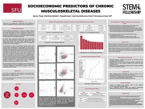 Socio-economic Predictors of Chronic Musculoskeletal Diseases