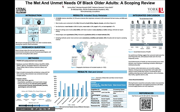 The Met and Unmet Needs of Black Older Adults: A Scoping Review
