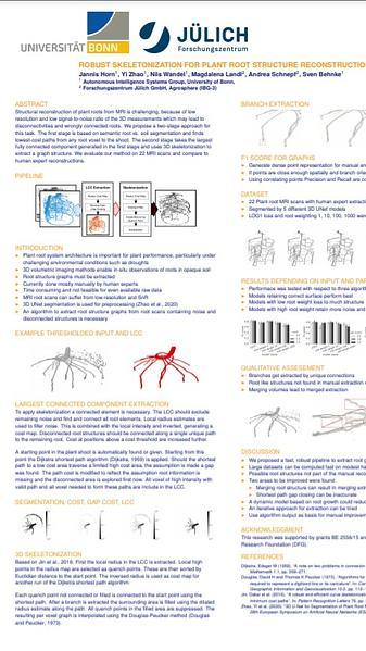 Robust Skeletonization for Plant Root Structure Reconstruction from MRI