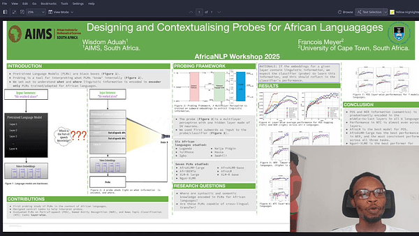 Designing and Contextualising Probes for African Languages
