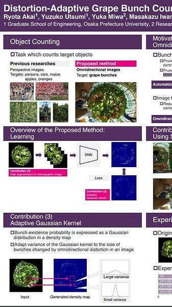 Distortion-Adaptive Grape Bunch Counting for Omnidirectional Images