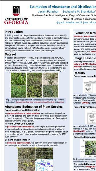 Estimation of Abundance and Distribution of Salt Marsh Plants from Images Using Deep Learning