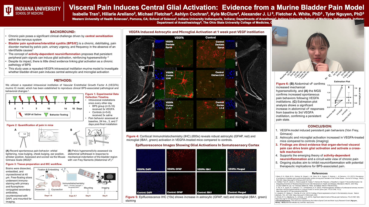 Lecture image placeholder