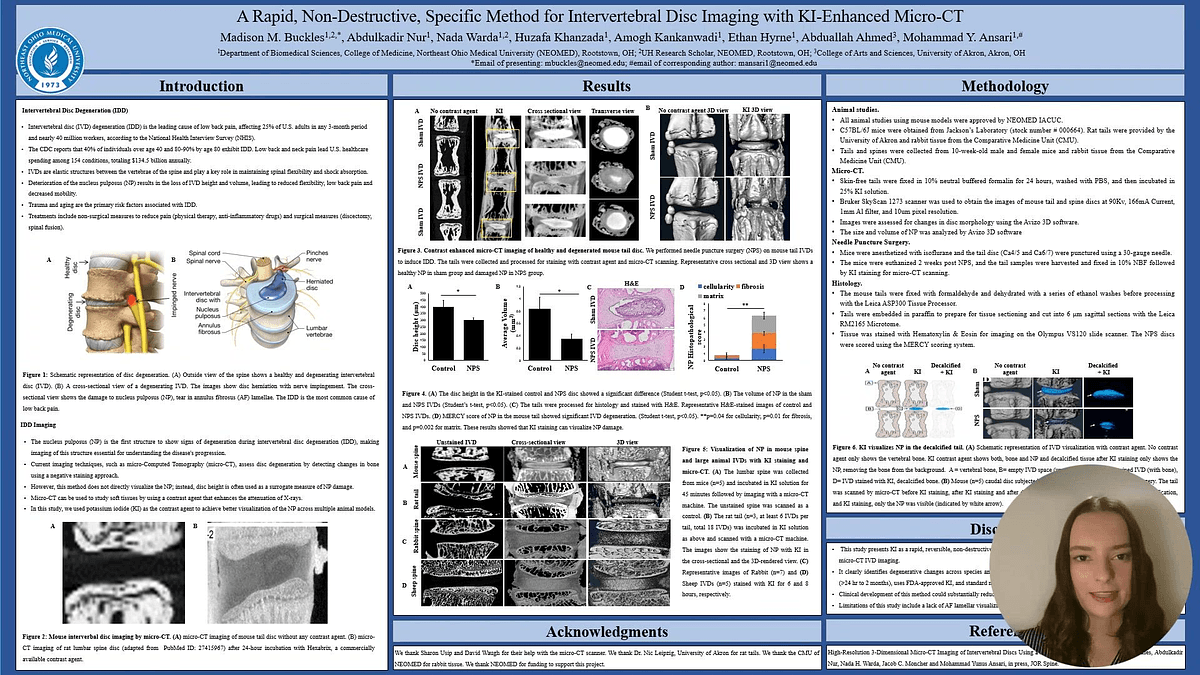Lecture image placeholder