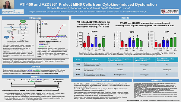 ATI-450 and AZD8931 Protect MIN6 Cells from Cytokine-Induced Dysfunction