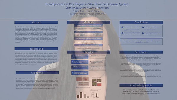 Preadipocytes as Key Players in Skin Immune Defense Against Staphylococcus aureus Infection