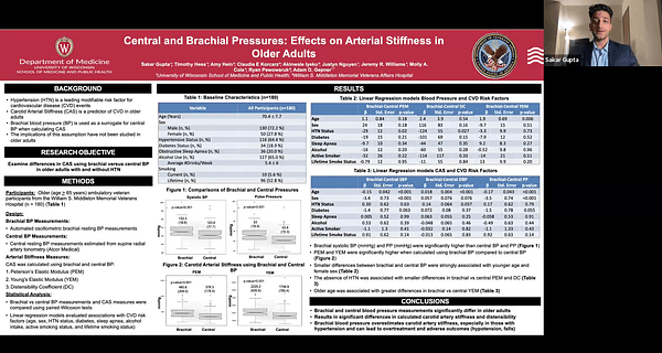 Central and Brachial Pressures: Effects on Arterial Stiffness in Older Adults