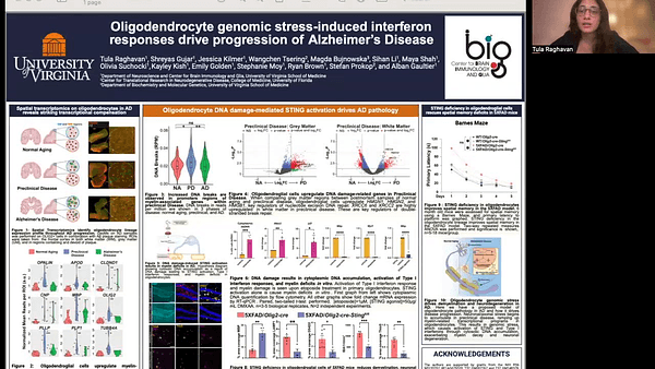 Oligodendrocyte genomic stress-induced interferon responses drive progression of Alzheimer’s Disease
