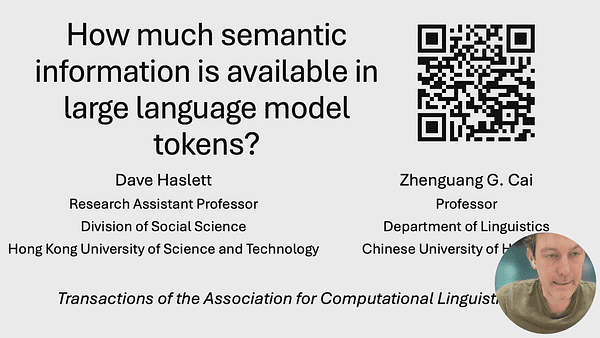 How much Semantic Information is Available in Large Language Model Tokens
