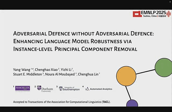 Adversarial Defence without Adversarial Defence: Enhancing Language Model Robustness via Instance-level Principal Component Removal