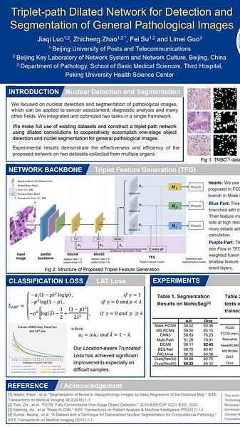 Introduction of A Triplet-path Dilated Network for Detection and Segmentation of General Pathological Images