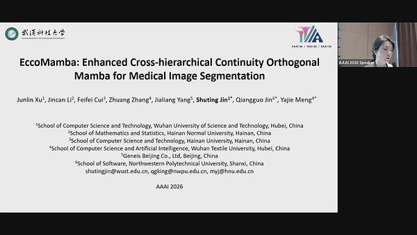 EccoMamba: Enhanced Cross-hierarchical Continuity Orthogonal Mamba for Medical Image Segmentation
