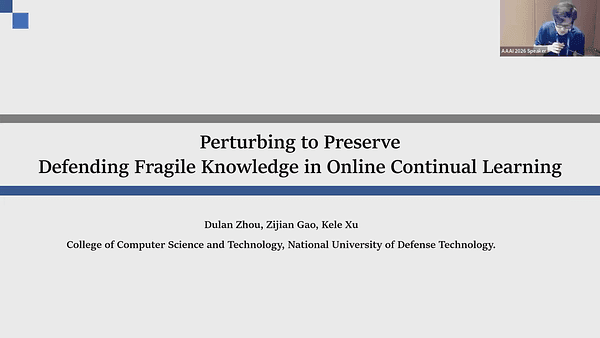 Perturbing to Preserve: Defending Fragile Knowledge in Online Continual Learning