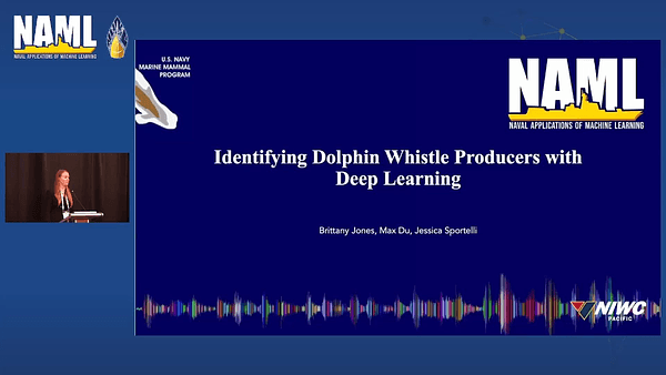 Identifying Dolphin Whistle Producers with Deep Learning: Moving Beyond Signature Whistles