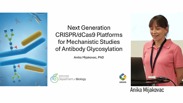 Next-gen CRISPR/dCas9 platforms for mechanistic studies of antibody glycosylation