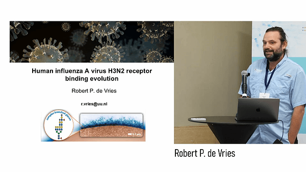 Human influenca A virus receptor binding evolution